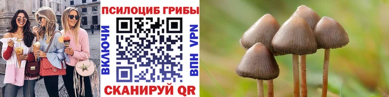 Галлюциногенные грибы Psilocybine cubensis закладки Краснообск